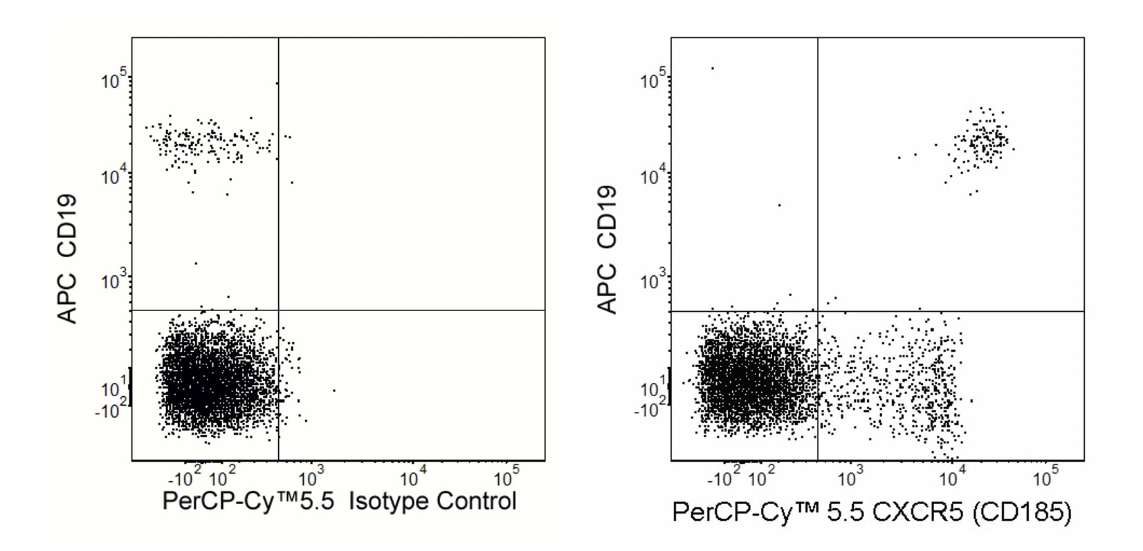 PerCP-Cy™5.5 Rat Anti-Human CXCR5 (CD185)