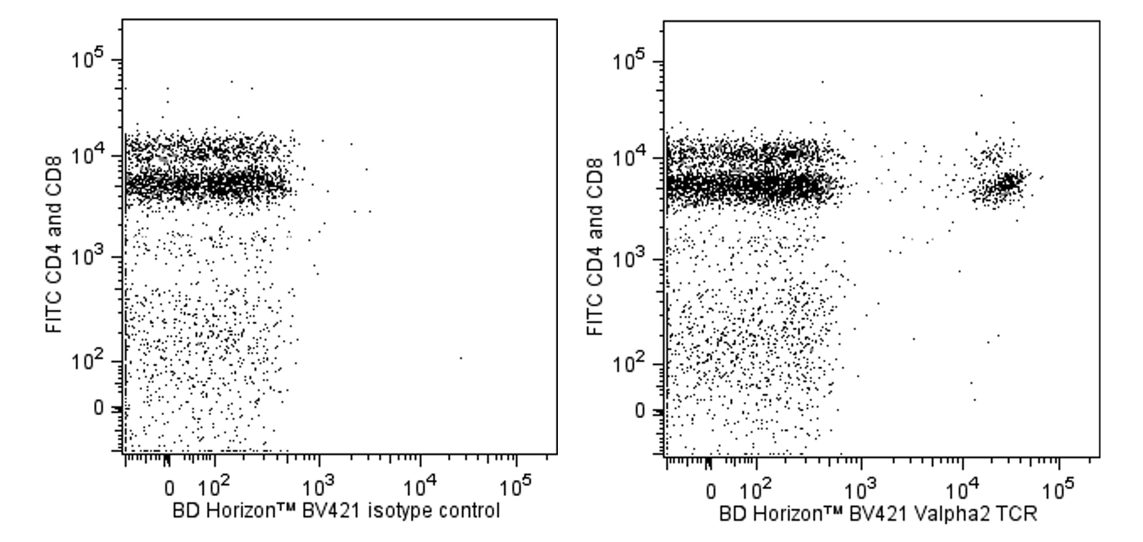 BV421 Rat Anti-Mouse Vα2 TCR