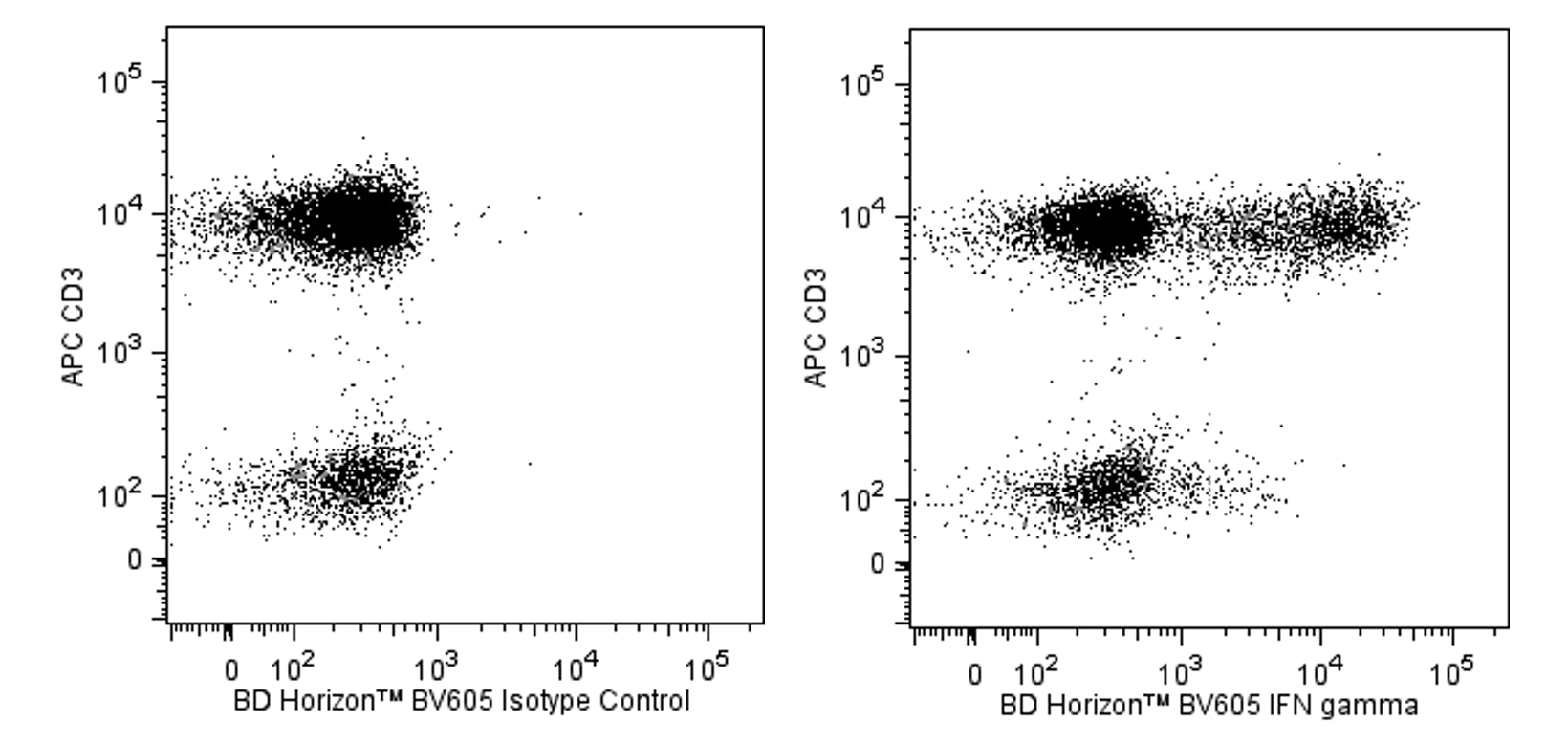 BV605 Mouse Anti-Human IFN-γ