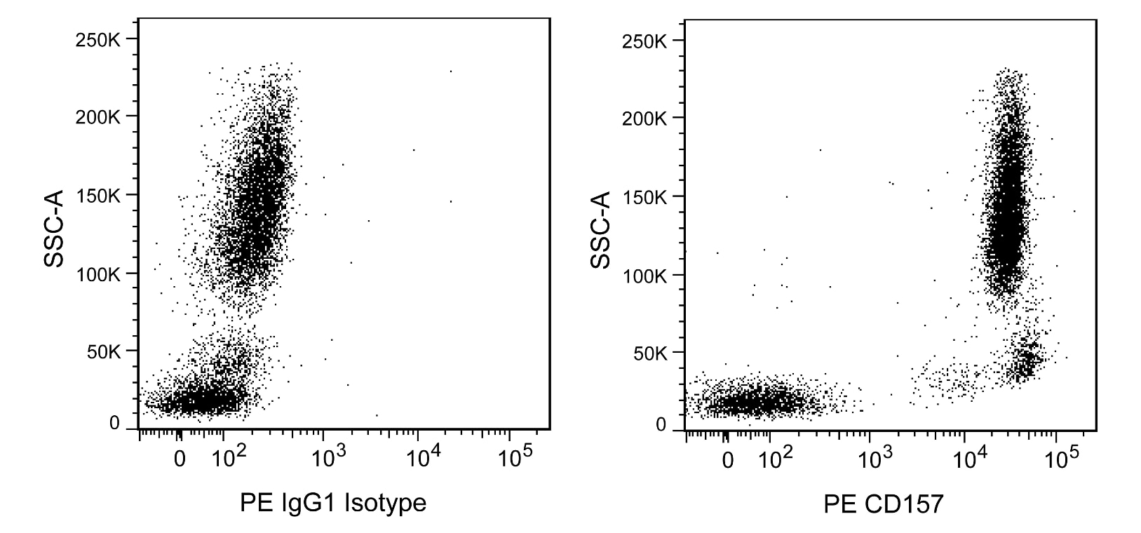 PE Mouse anti-Human CD157