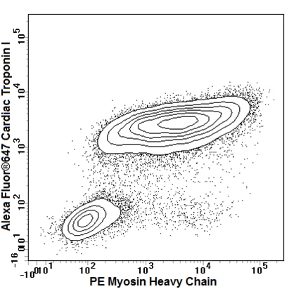 PE Mouse Anti-Myosin Heavy Chain