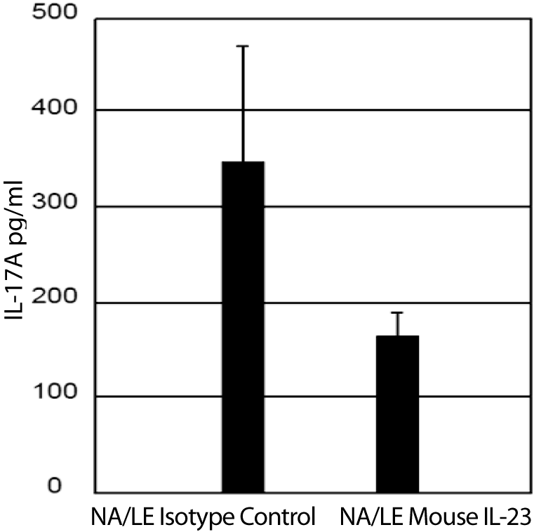 Purified NA/LE Rat Anti-Mouse IL-23 p19