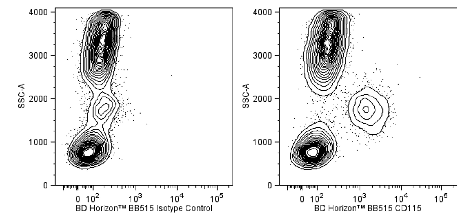 BB515 Rat Anti-Human CD115 (CSF-1R)