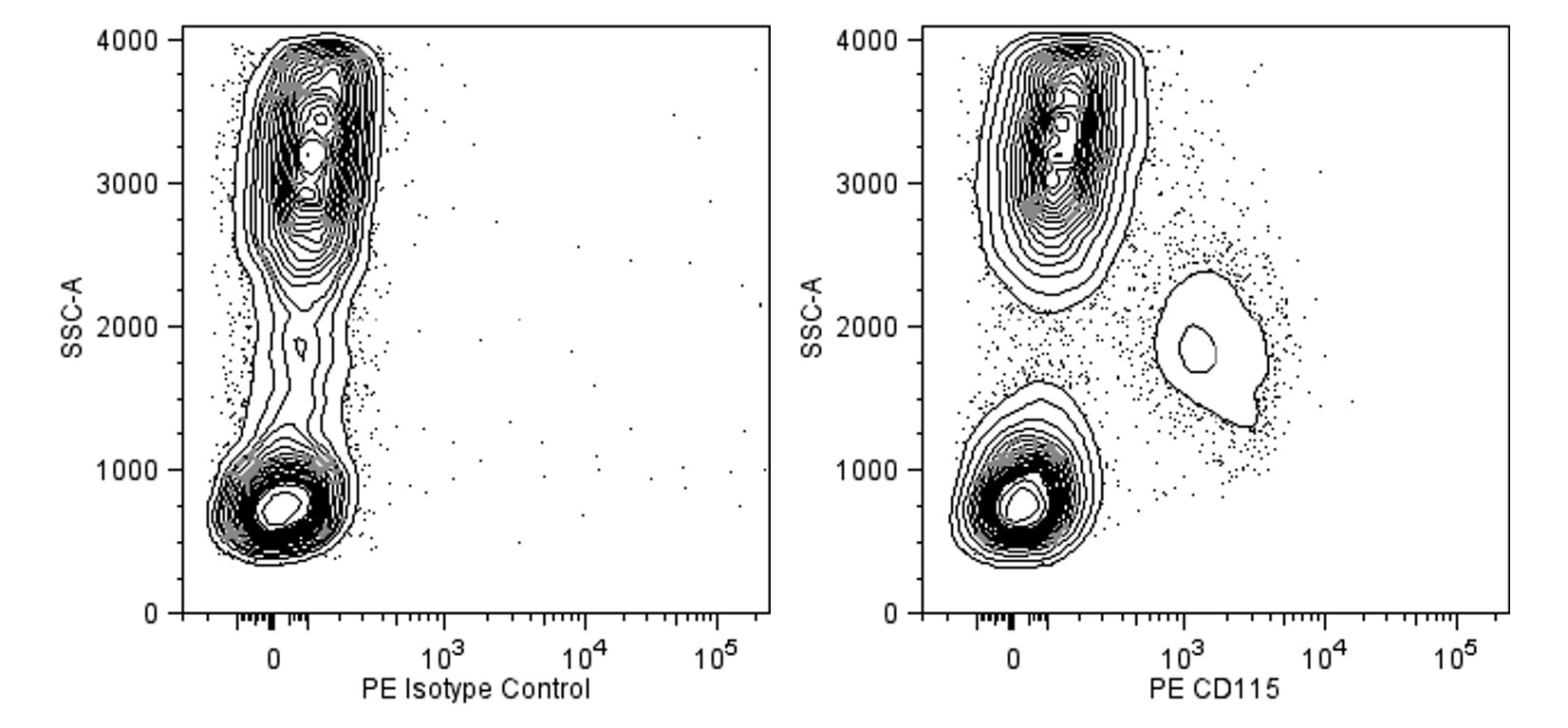 PE Rat Anti-Human CD115 (CSF-1R)