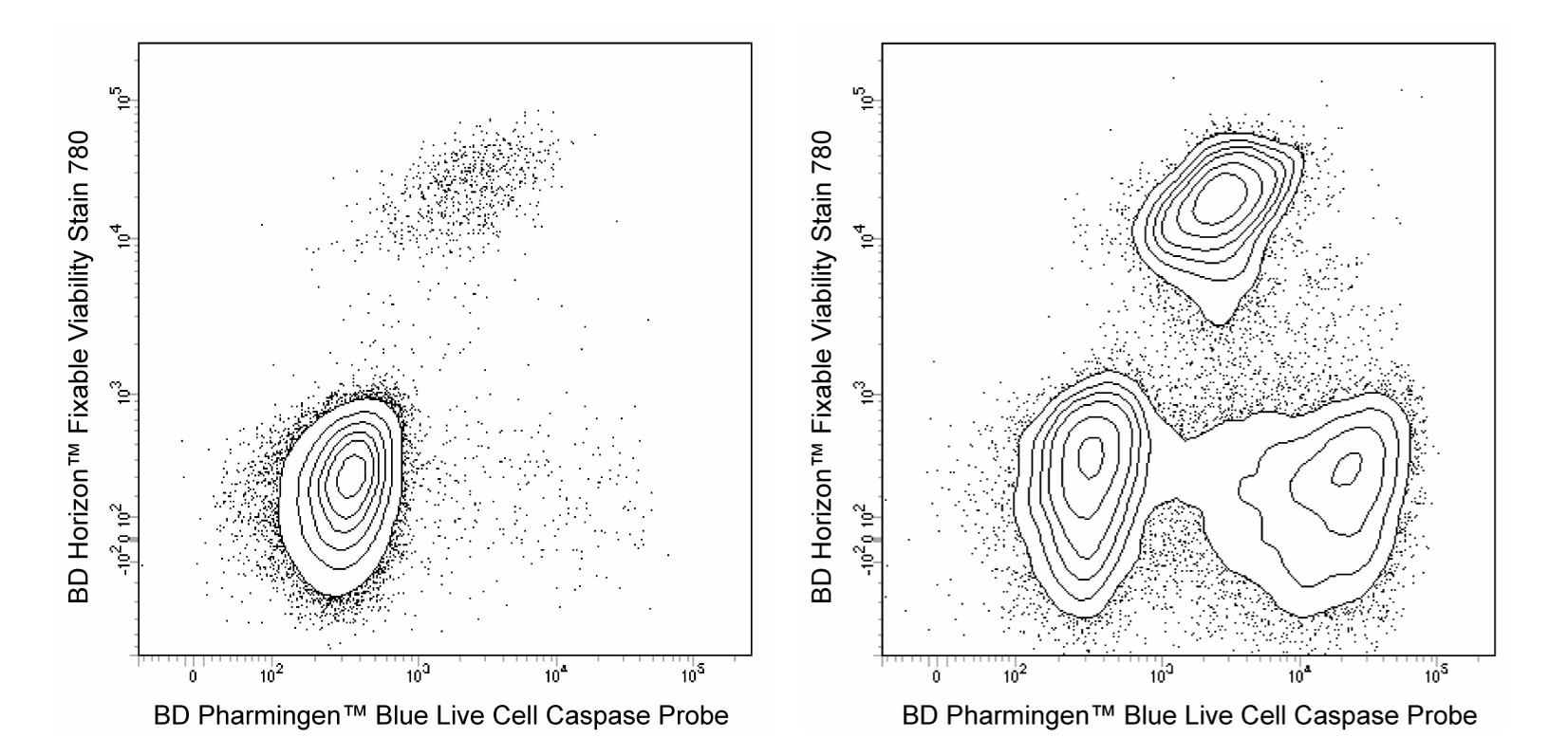 Blue Live Cell Caspase Probe