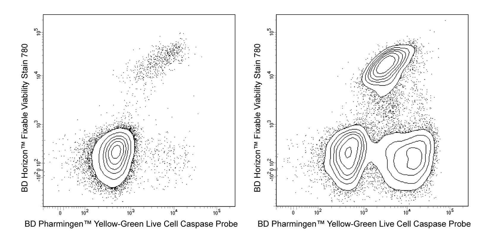Yellow-Green Live Cell Caspase Probe