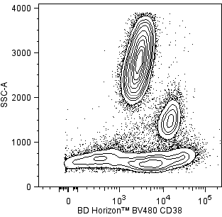BV480 Mouse Anti-Human CD38