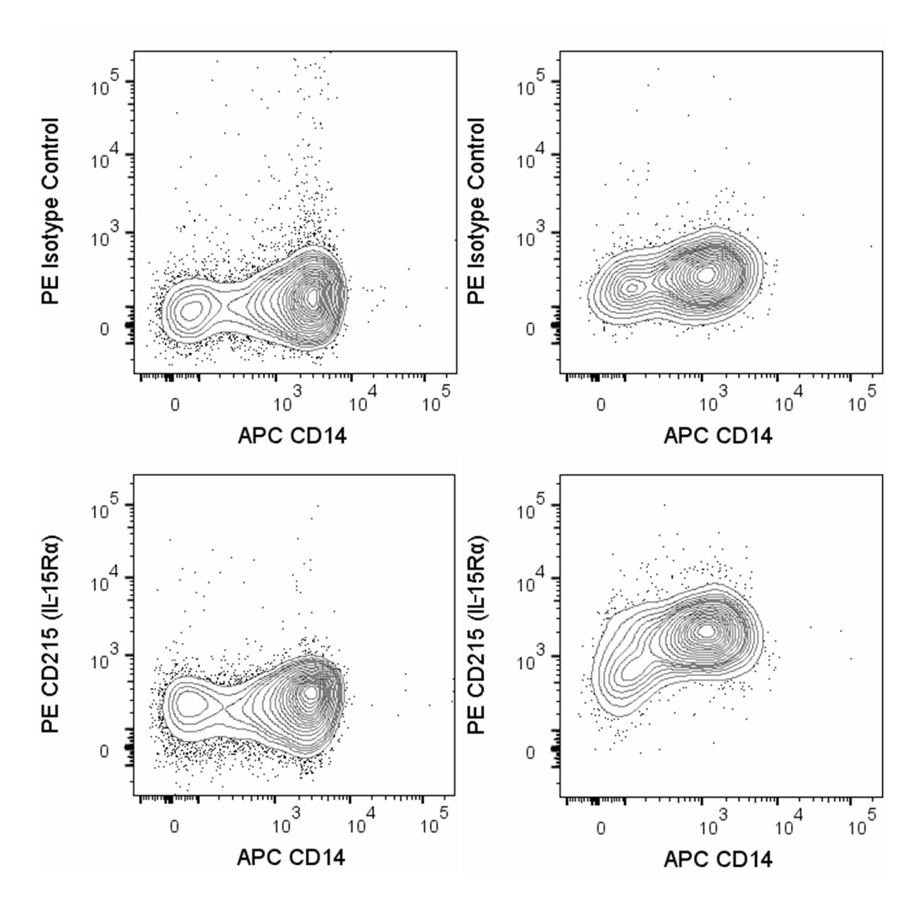 PE Mouse Anti-Human CD215 (IL-15Rα)