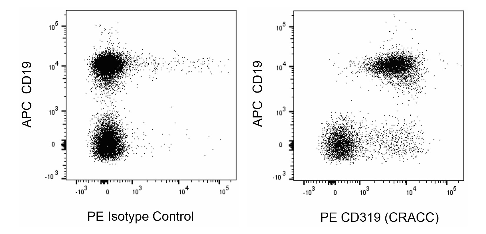 PE Rat Anti-Mouse CD319 (CRACC)