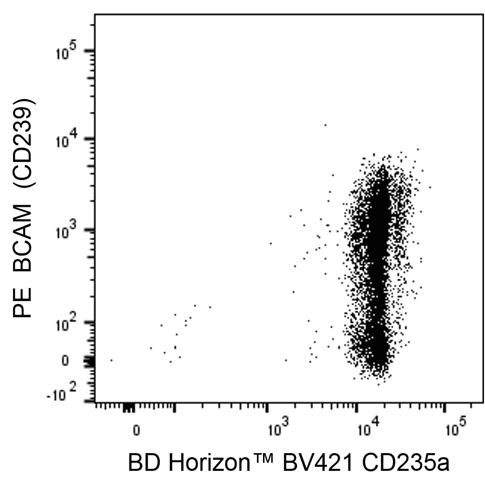 PE Mouse Anti-Human BCAM (CD239)