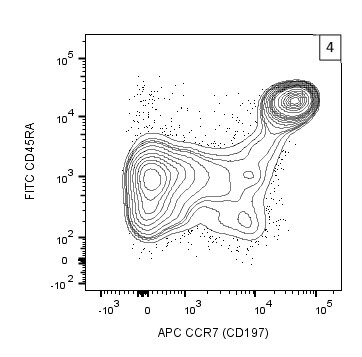 APC Mouse Anti-Human CCR7 (CD197)
