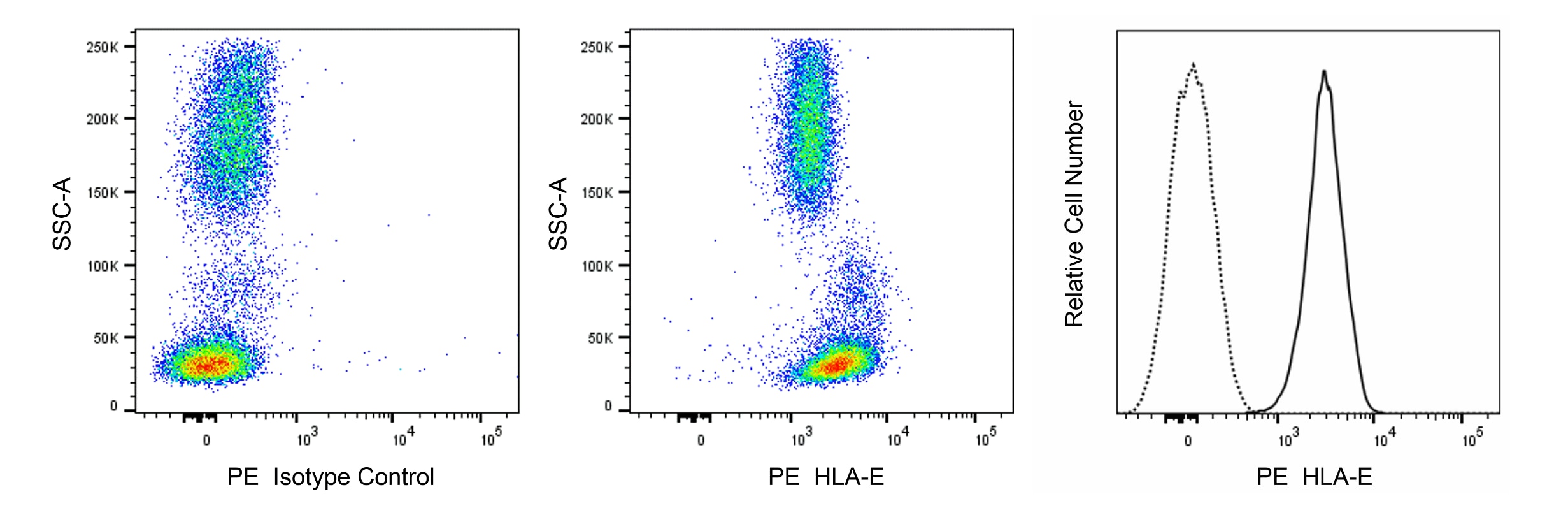PE Mouse Anti-Human HLA-E