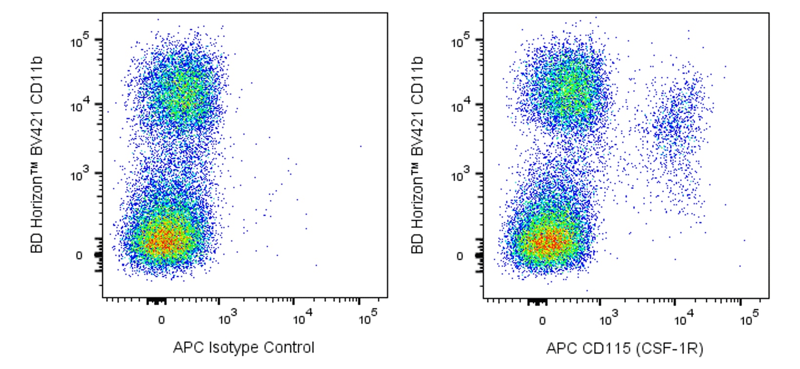 APC Rat Anti-Mouse CD115 (CSF-1R)