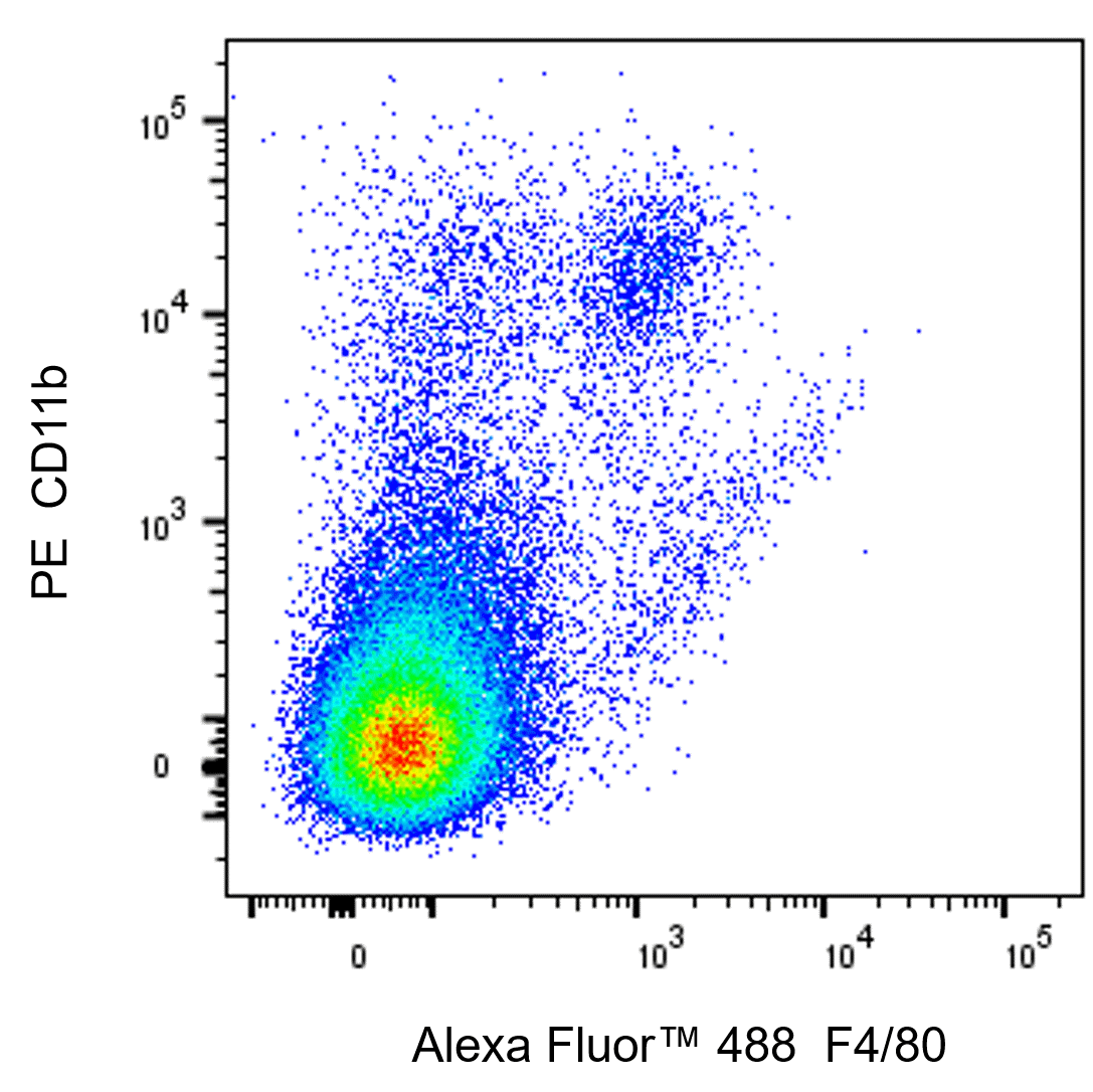 Alexa Fluor™ 488 Rat Anti-Mouse F4/80