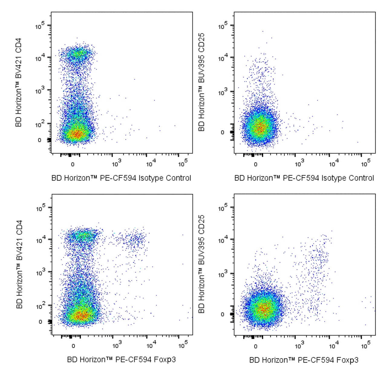 PE-CF594 Mouse Anti-Mouse Foxp3