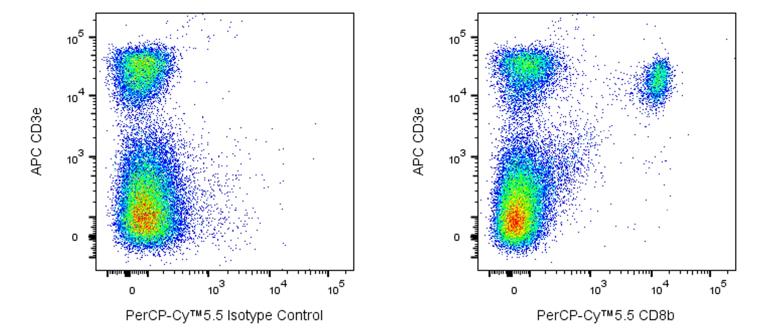 PerCP-Cy5.5 Rat Anti-Mouse CD8b