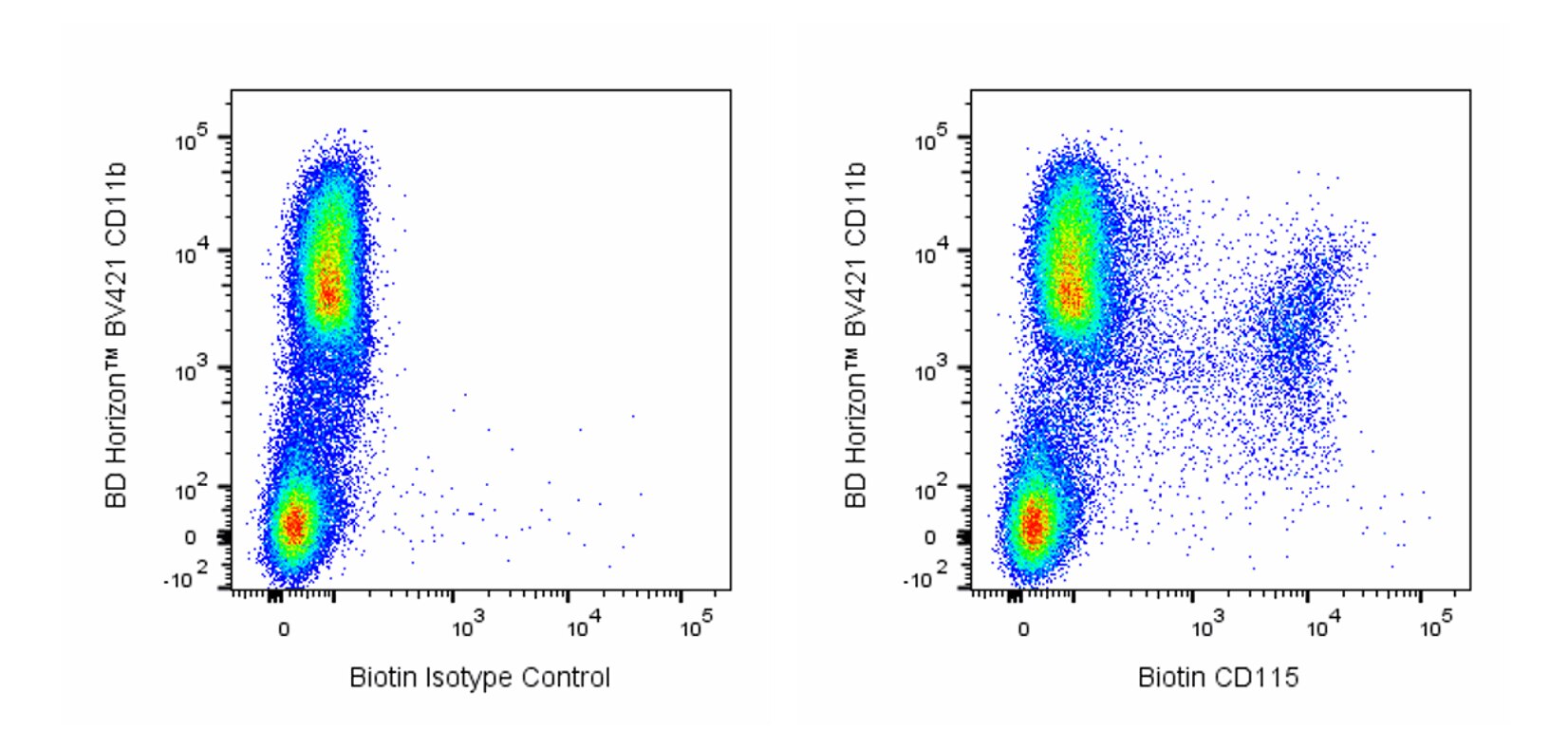 Biotin Rat Anti-Mouse CD115 (CSF-1R)