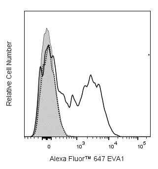 Alexa Fluor™ 647 Mouse Anti-Mouse EVA1