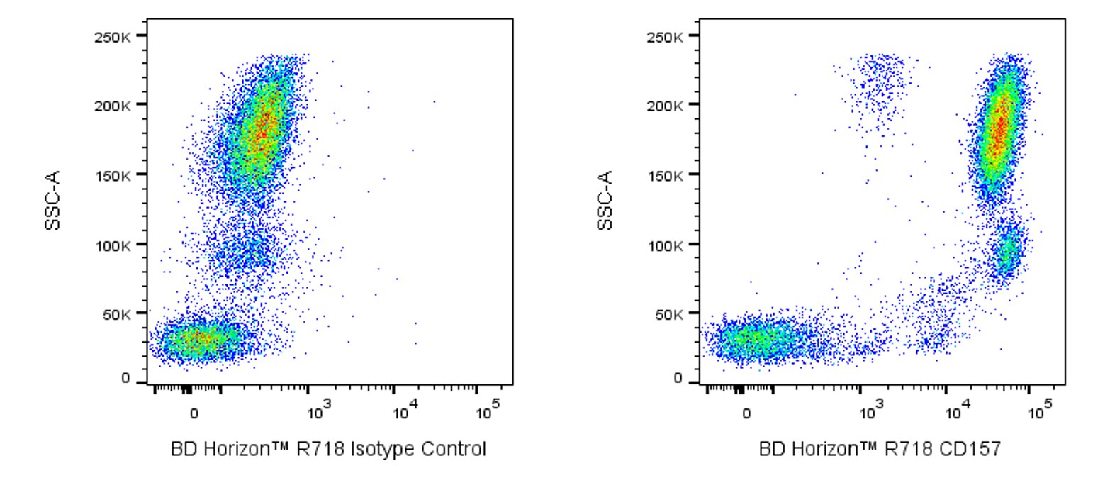R718 Mouse Anti-Human CD157