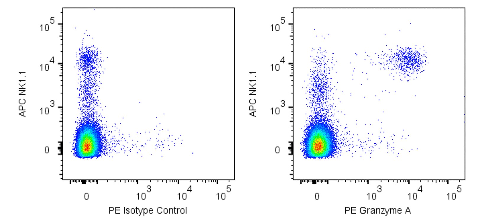 PE Mouse Anti-Mouse Granzyme A