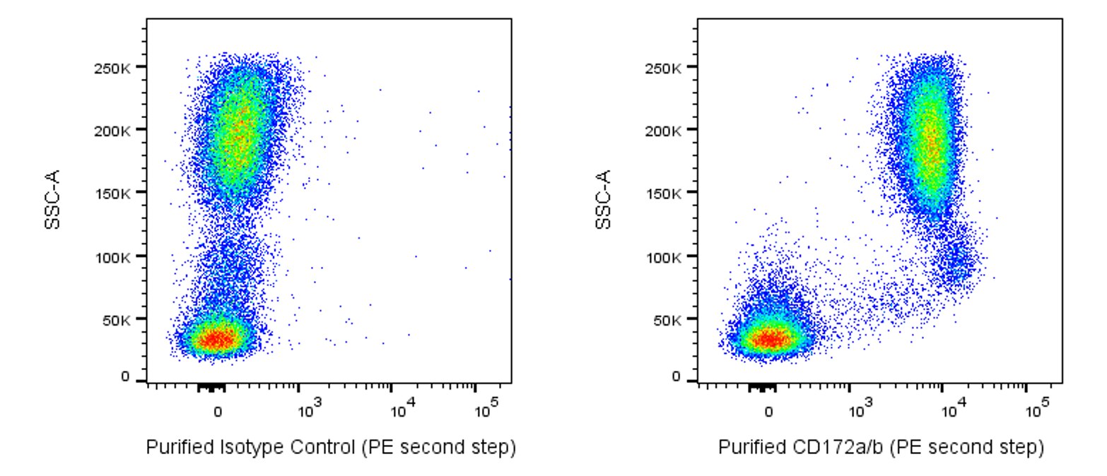 Purified Mouse Anti-Human CD172a/b