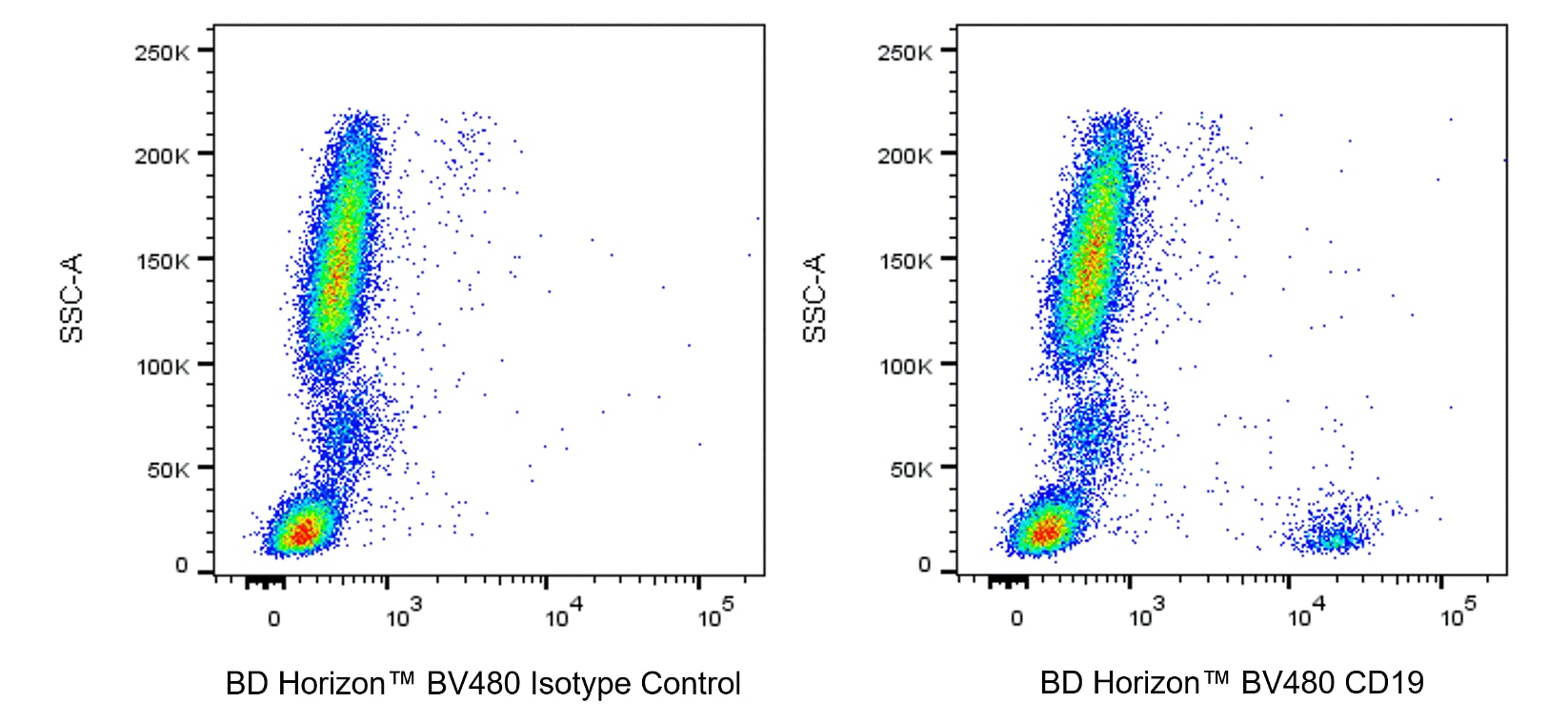 BV480 Mouse Anti-Human CD19