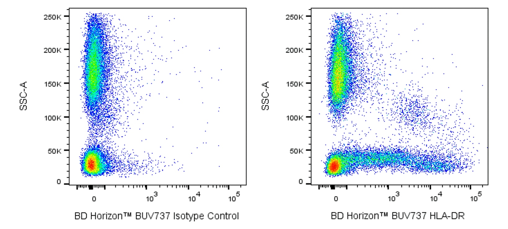 BUV737 Mouse Anti-Human HLA-DR