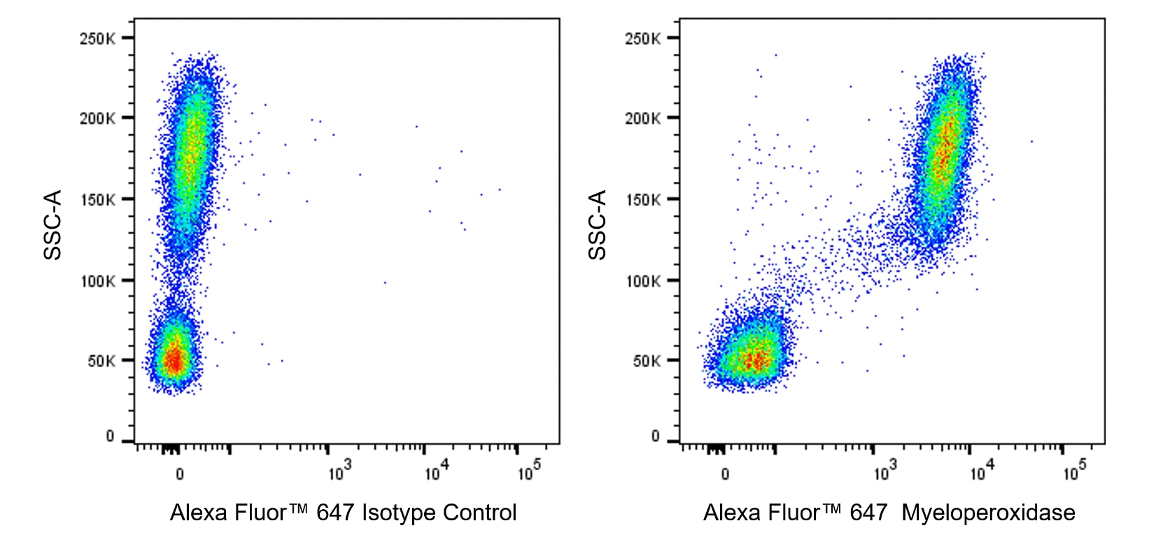 Alexa Fluor™ 647 Mouse Anti-Human Myeloperoxidase