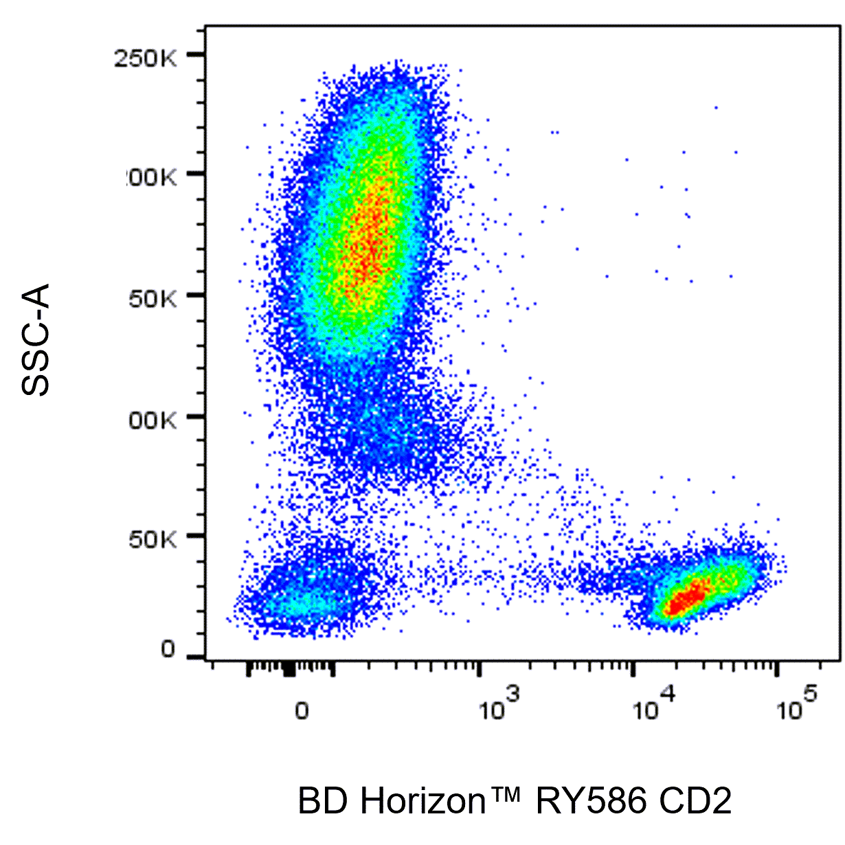 RY586 Mouse Anti-Human CD2