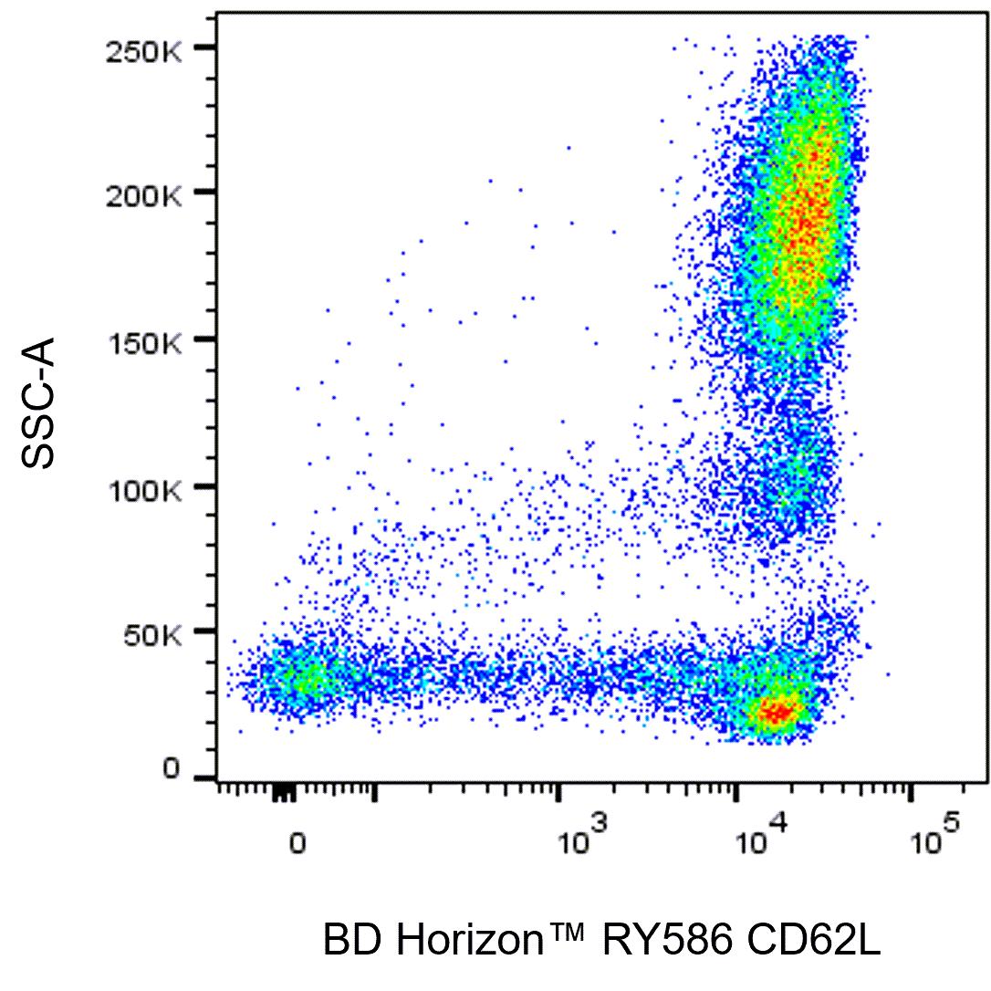 RY586 Mouse Anti-Human CD62L RY586 Mouse Anti-Human CD62L