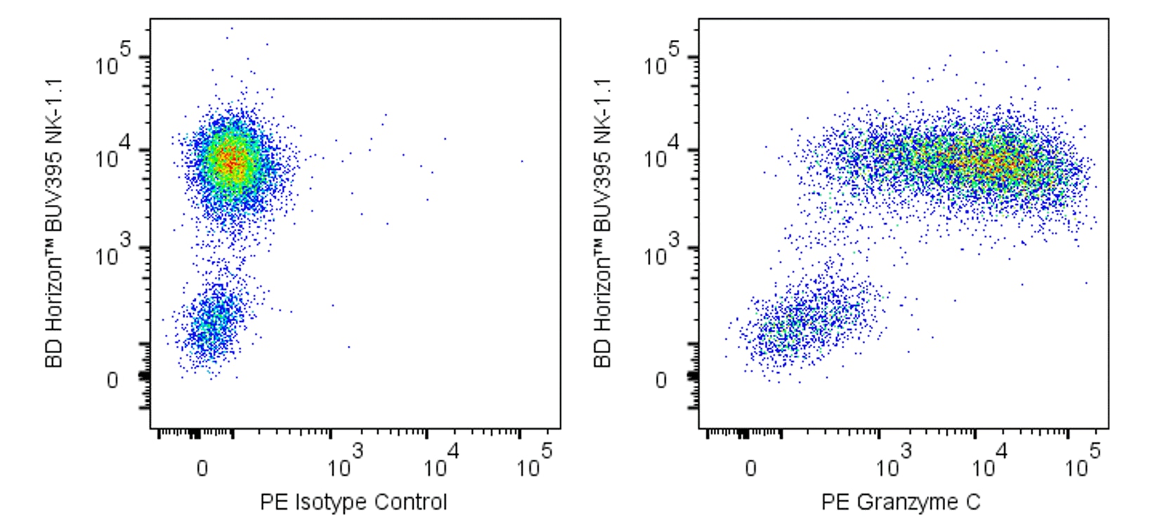 PE Rat Anti-Mouse Granzyme C