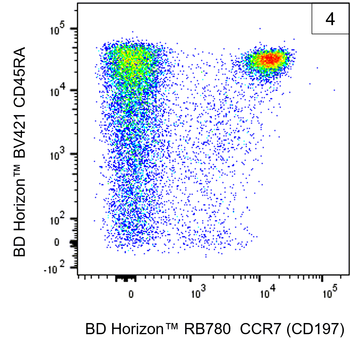 RB780 Mouse Anti-Human CCR7 (CD197) RB780 Mouse Anti-Human CCR7 (CD197)