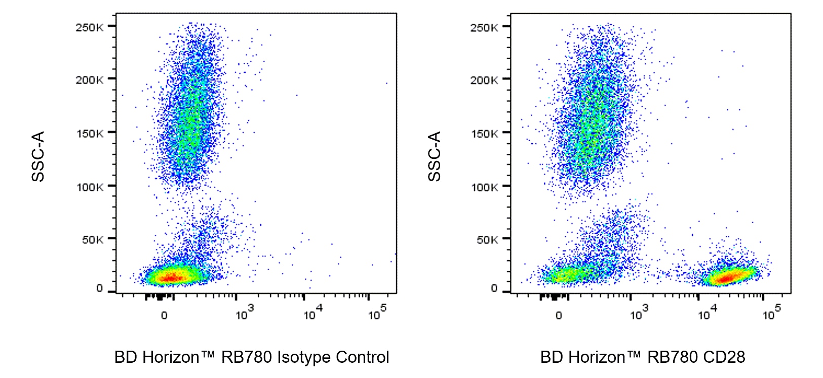 RB780 Mouse Anti-Human CD28