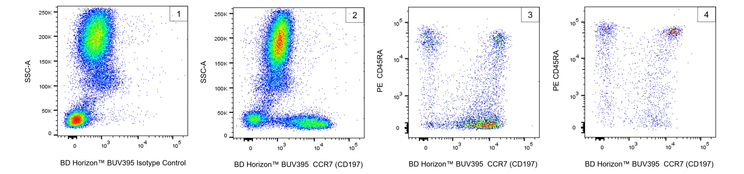 BUV395 Mouse Anti-Human CCR7 (CD197)