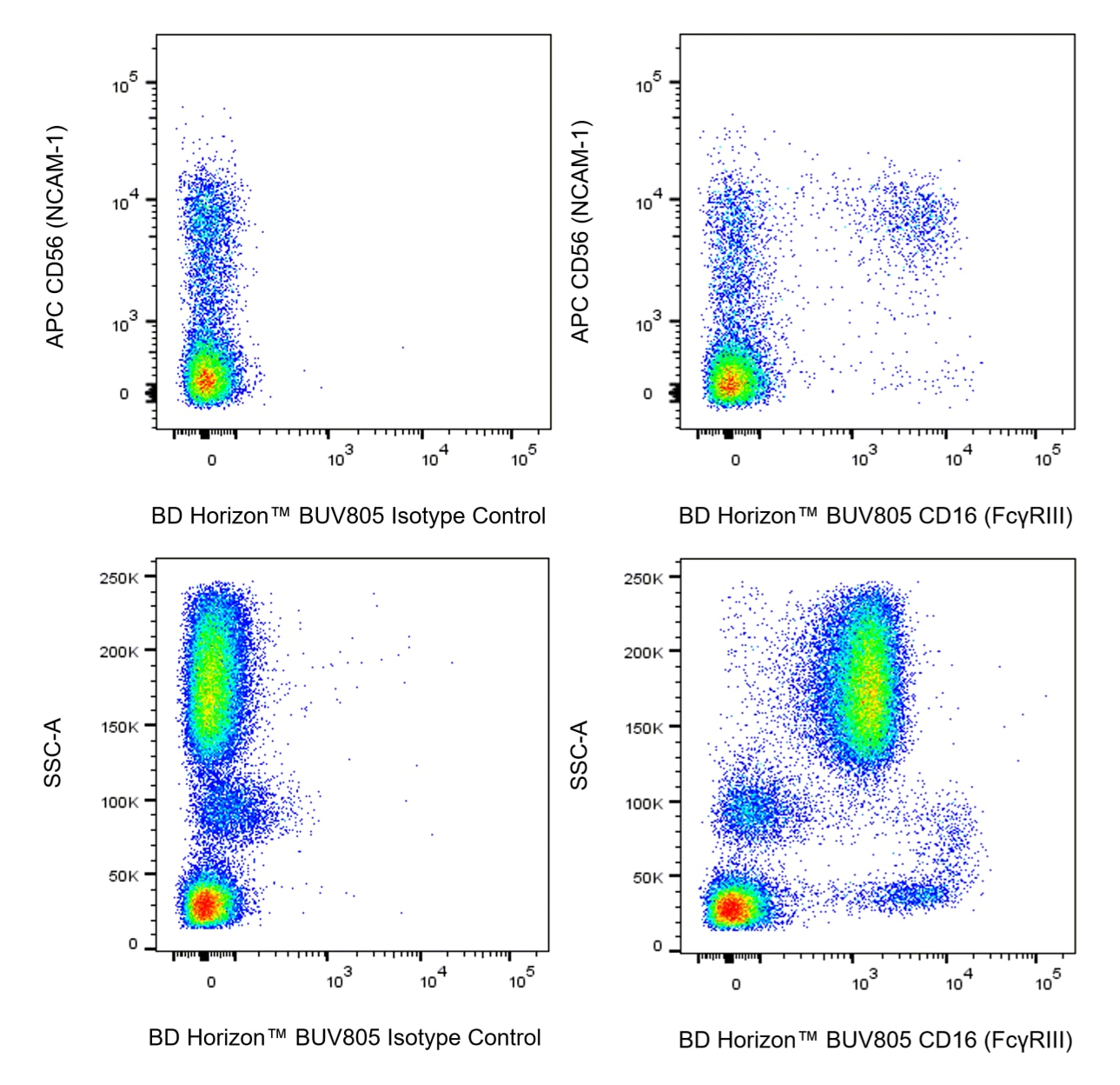 BUV805 Mouse Anti-Human CD16 (FcγRIII)