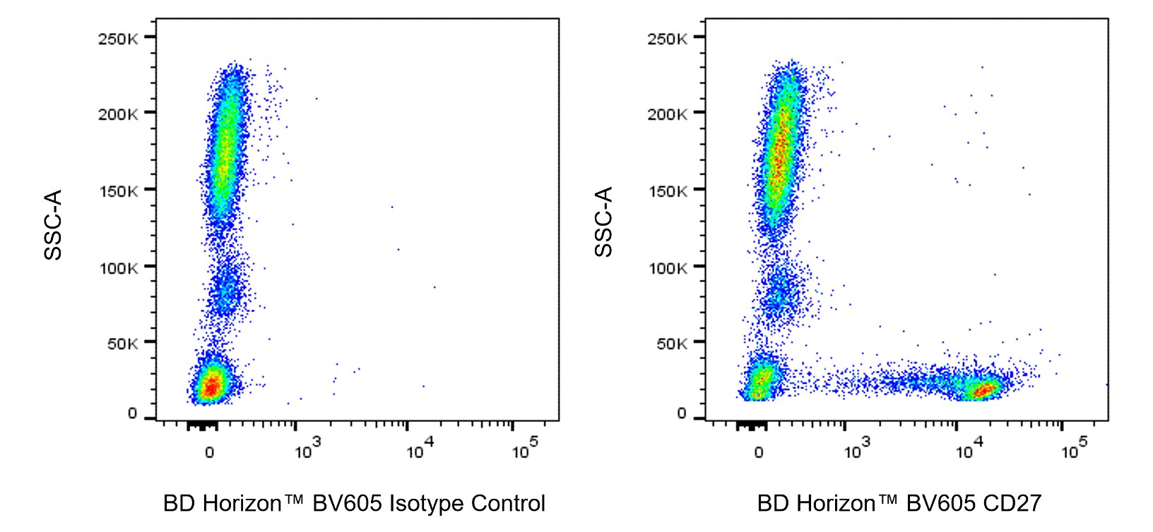 BV605 Mouse Anti-Human CD27