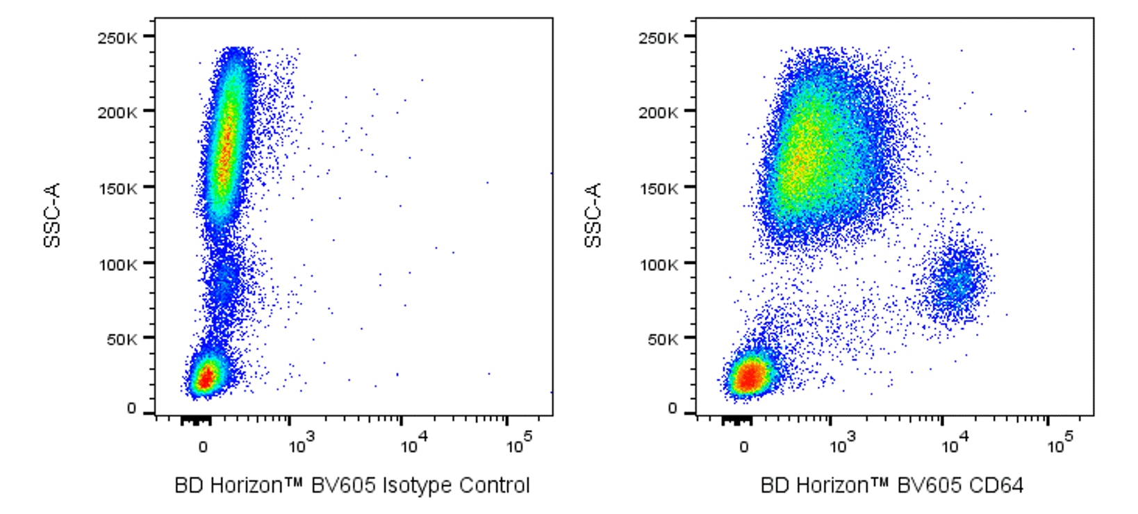 BV605 Mouse Anti-Human CD64