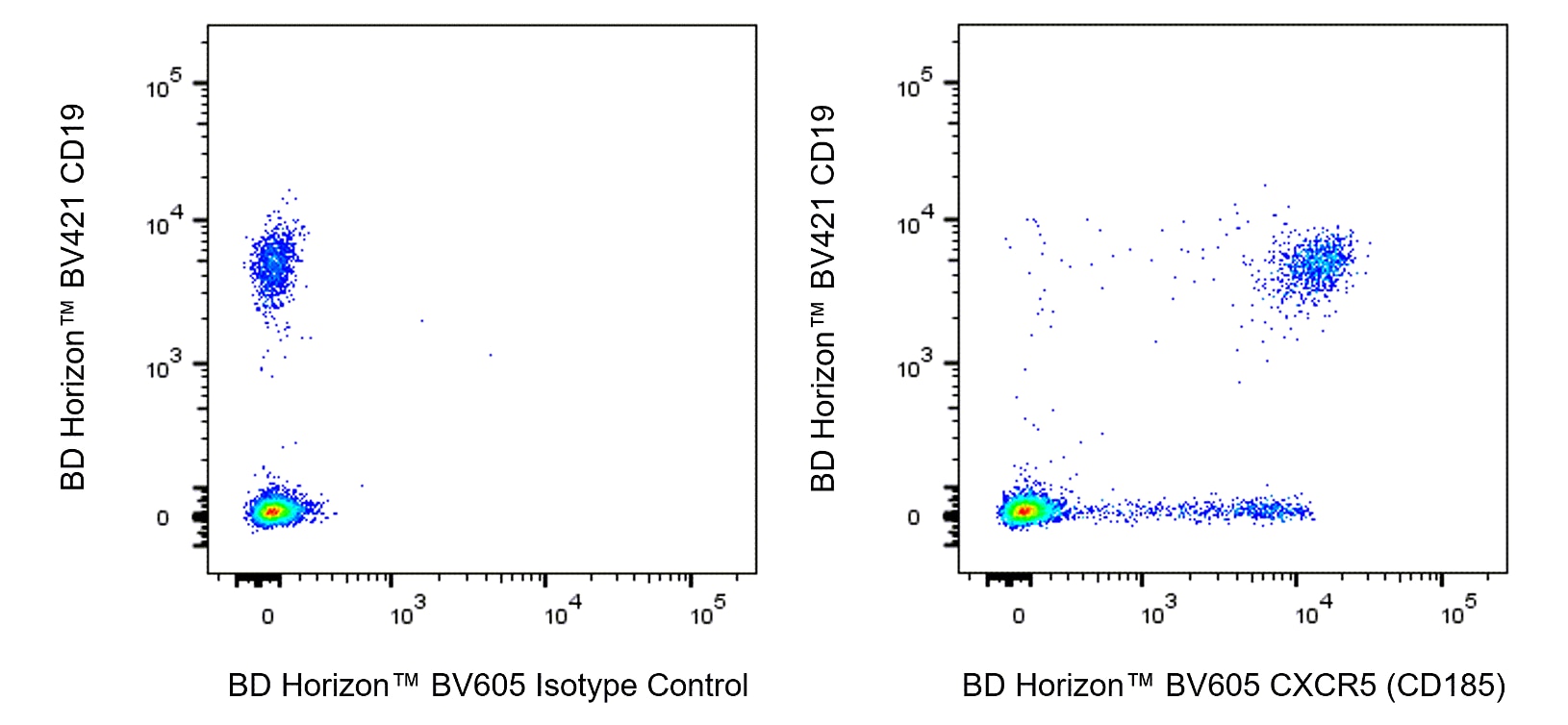 BV605 Rat Anti-Human CXCR5 (CD185)
