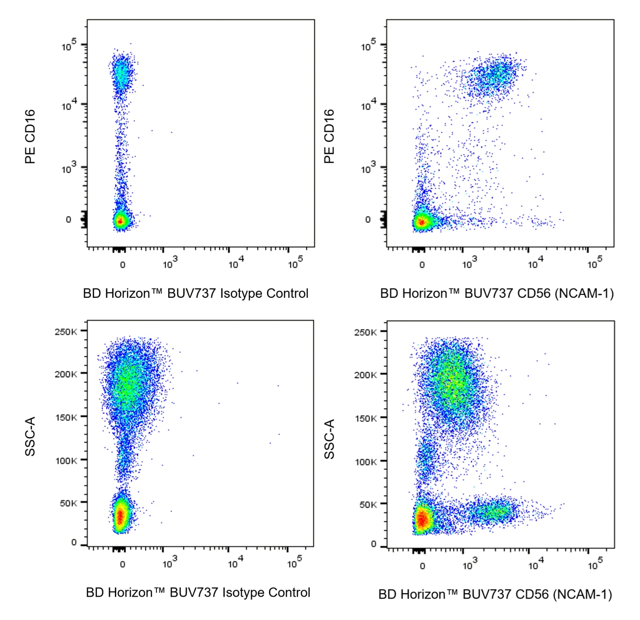 BUV737 Mouse Anti-Human CD56 (NCAM-1)