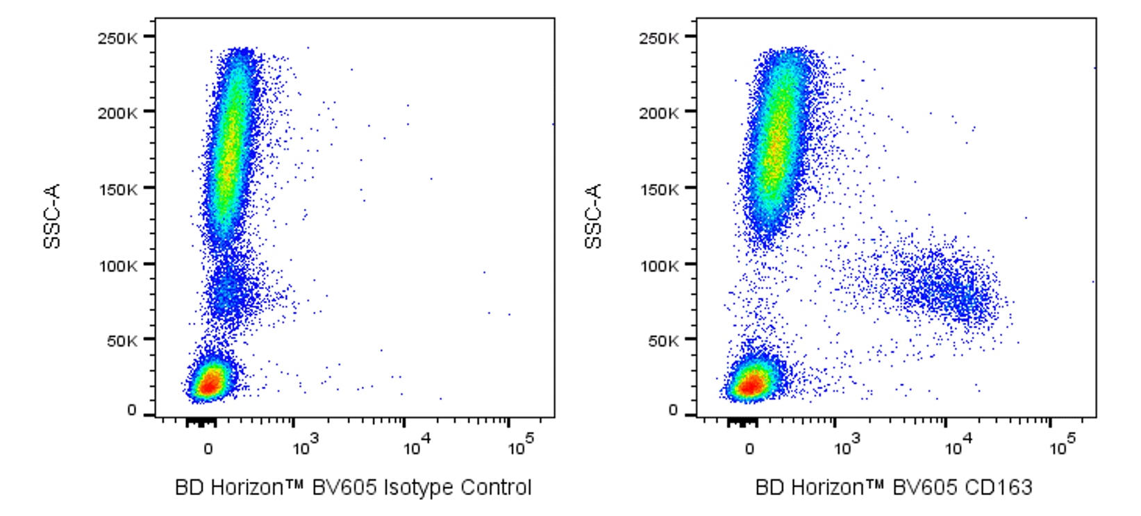 BV605 Mouse Anti-Human CD163