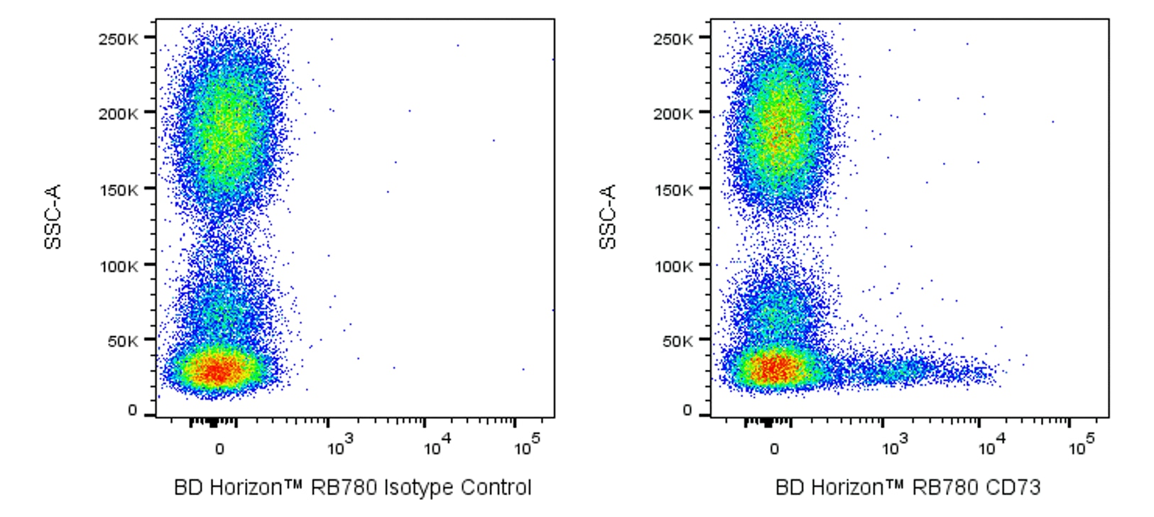 RB780 Mouse Anti-Human CD73