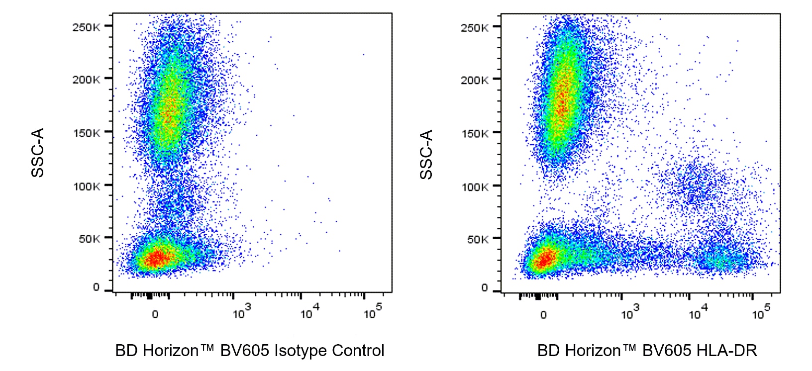 BV605 Mouse Anti-Human HLA-DR