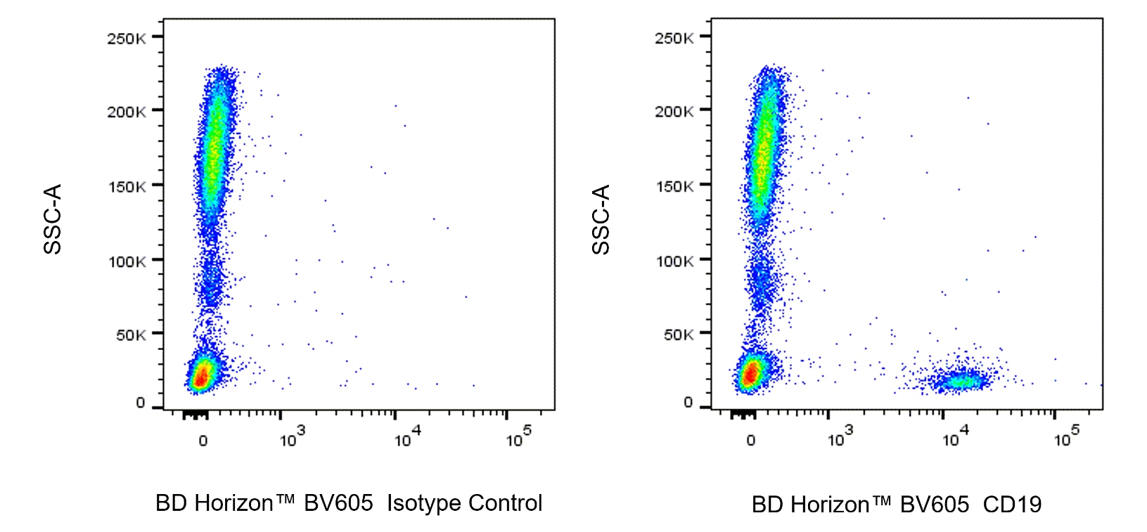 BV605 Mouse Anti-Human CD19