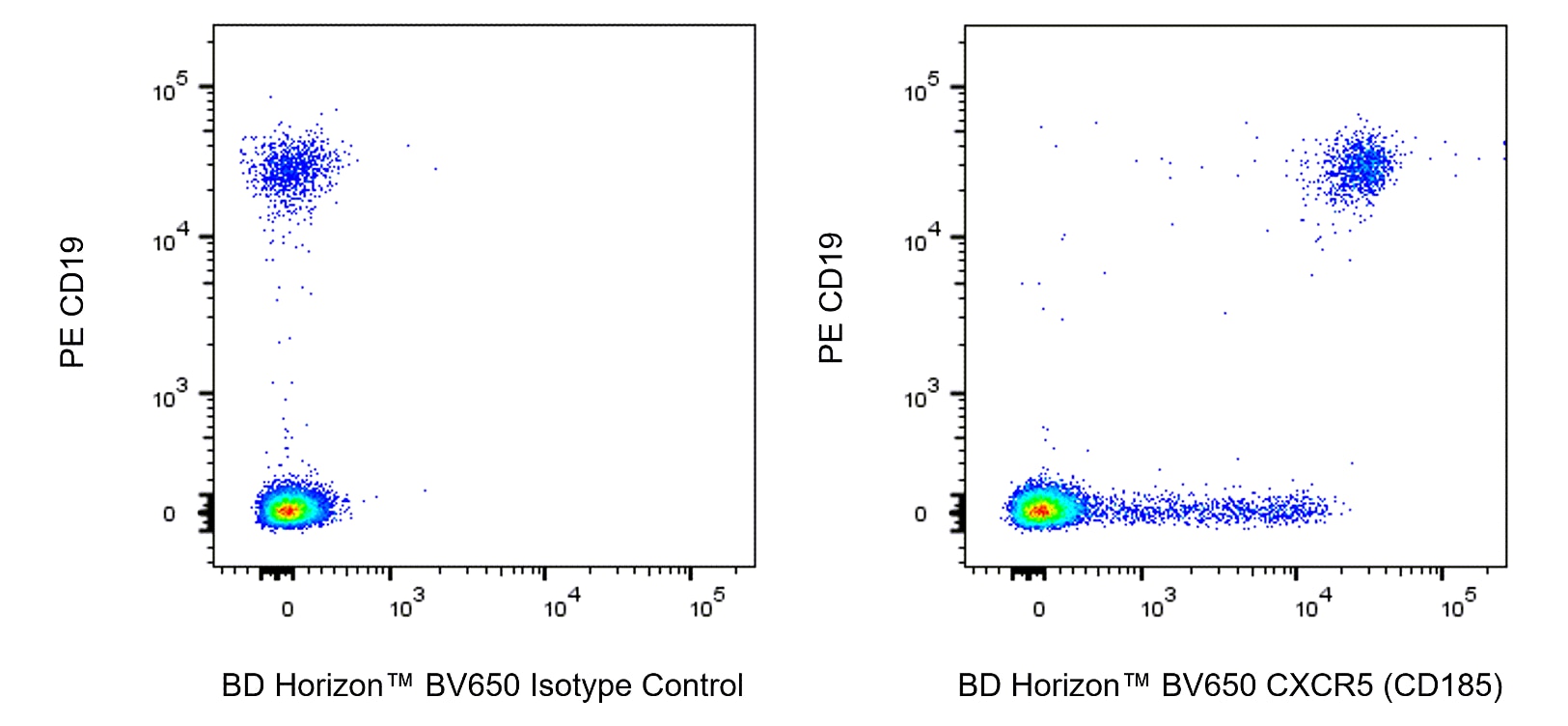 BV650 Rat Anti-Human CXCR5 (CD185)