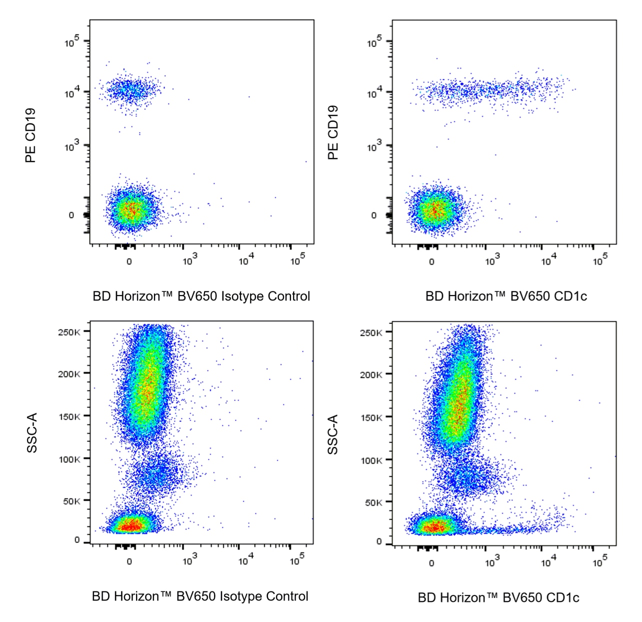 BV650 Mouse Anti-Human CD1c