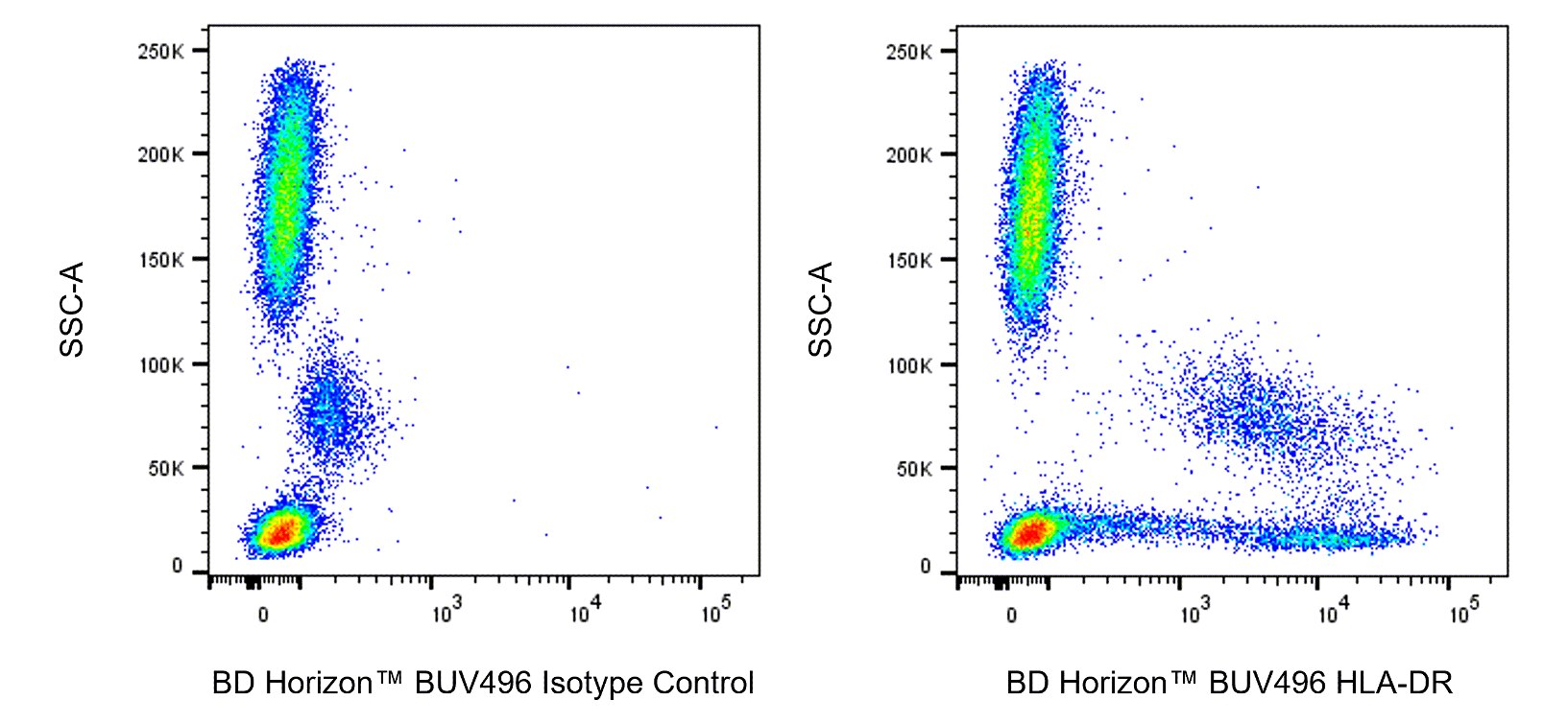 BUV496 Mouse Anti-Human HLA-DR