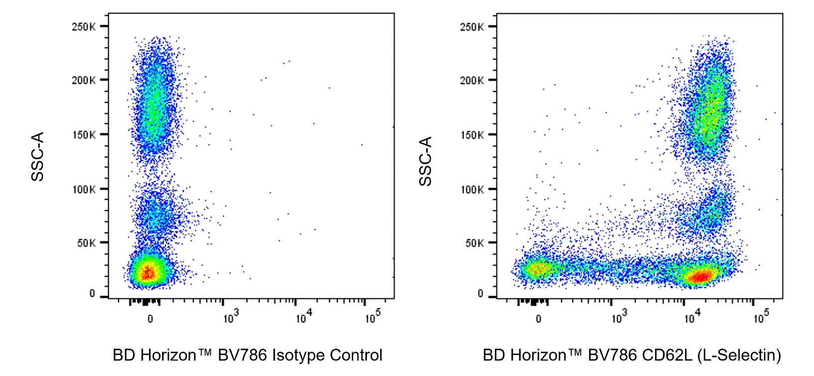 BV786 Mouse Anti-Human CD62L (L-Selectin)