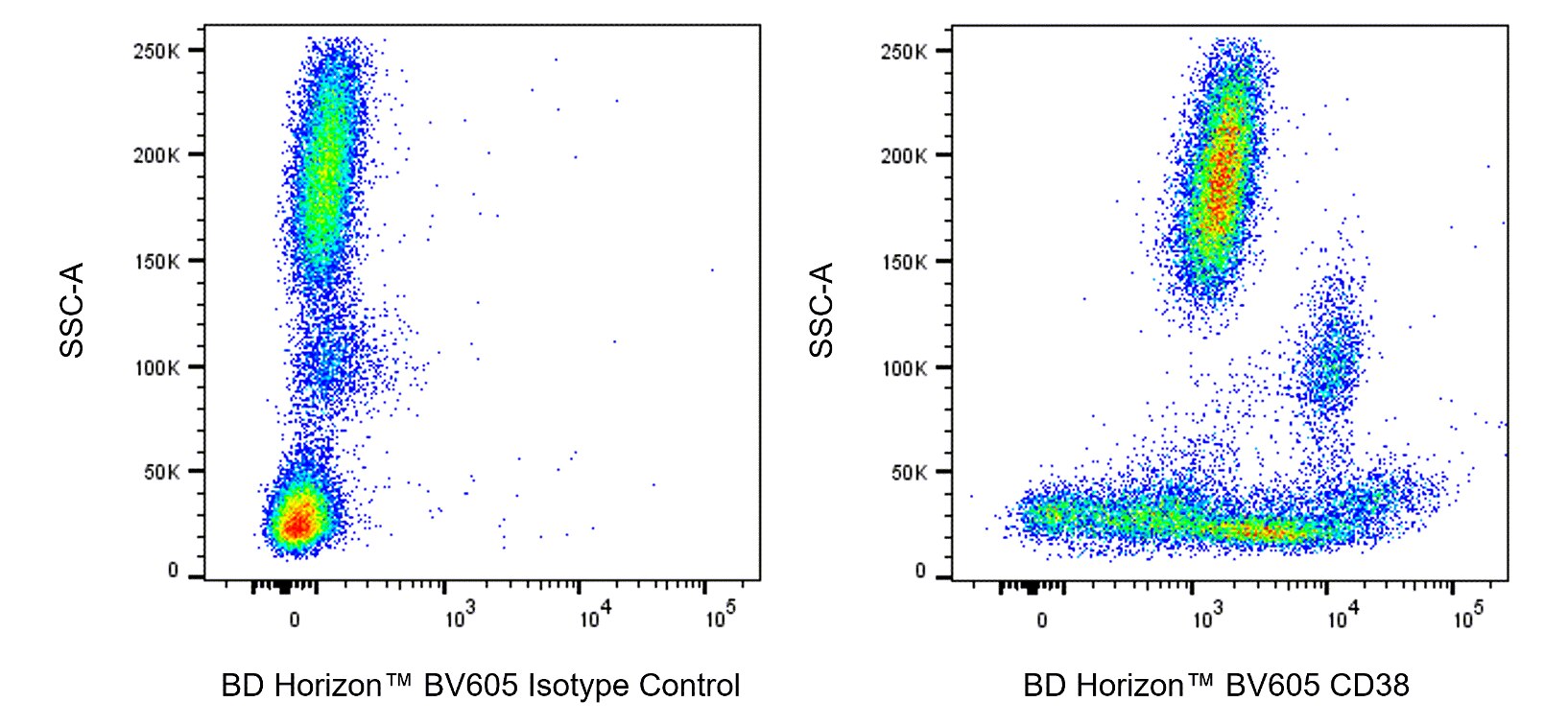BV605 Mouse Anti-Human CD38
