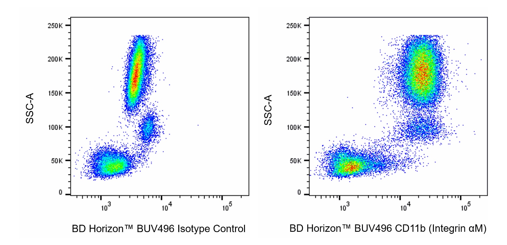 BUV496 Rat Anti-CD11b (Integrin αM)