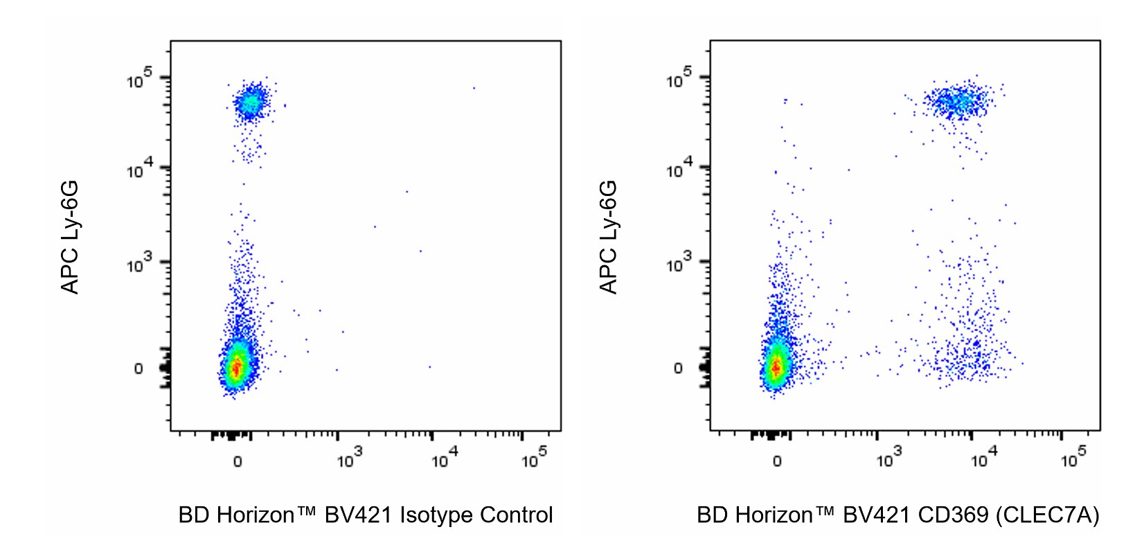 BV421 Mouse Anti-Mouse CD369 (CLEC7A)